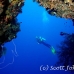 swimthru_cc_h_0705_png1681.jpg